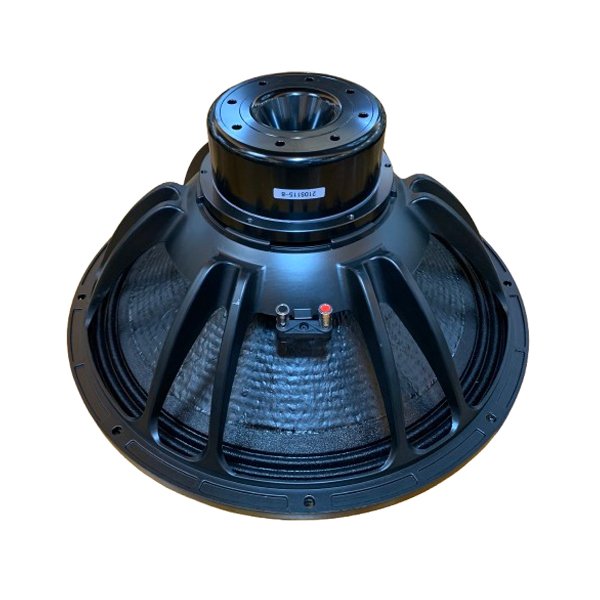 21DS115网站图片1